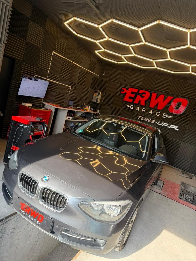 BMW F20 2.0d + 35KM + 70NM